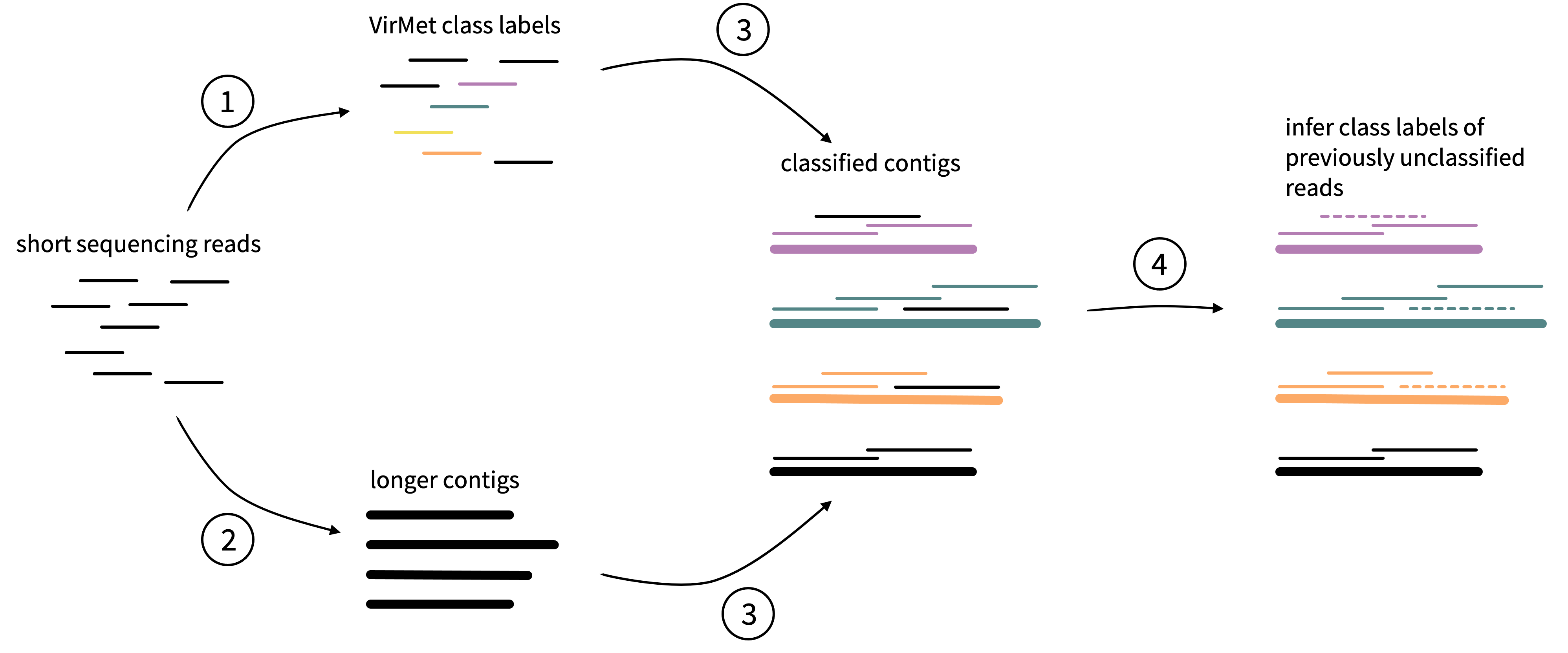 Schematic visualisation of the idea behind the semi-supervised approach to label previously unclassifed sequencing reads. Thinner lines represent the original short sequencing reads and the thicker lines longer contigs from \textit{de novo} assembly.