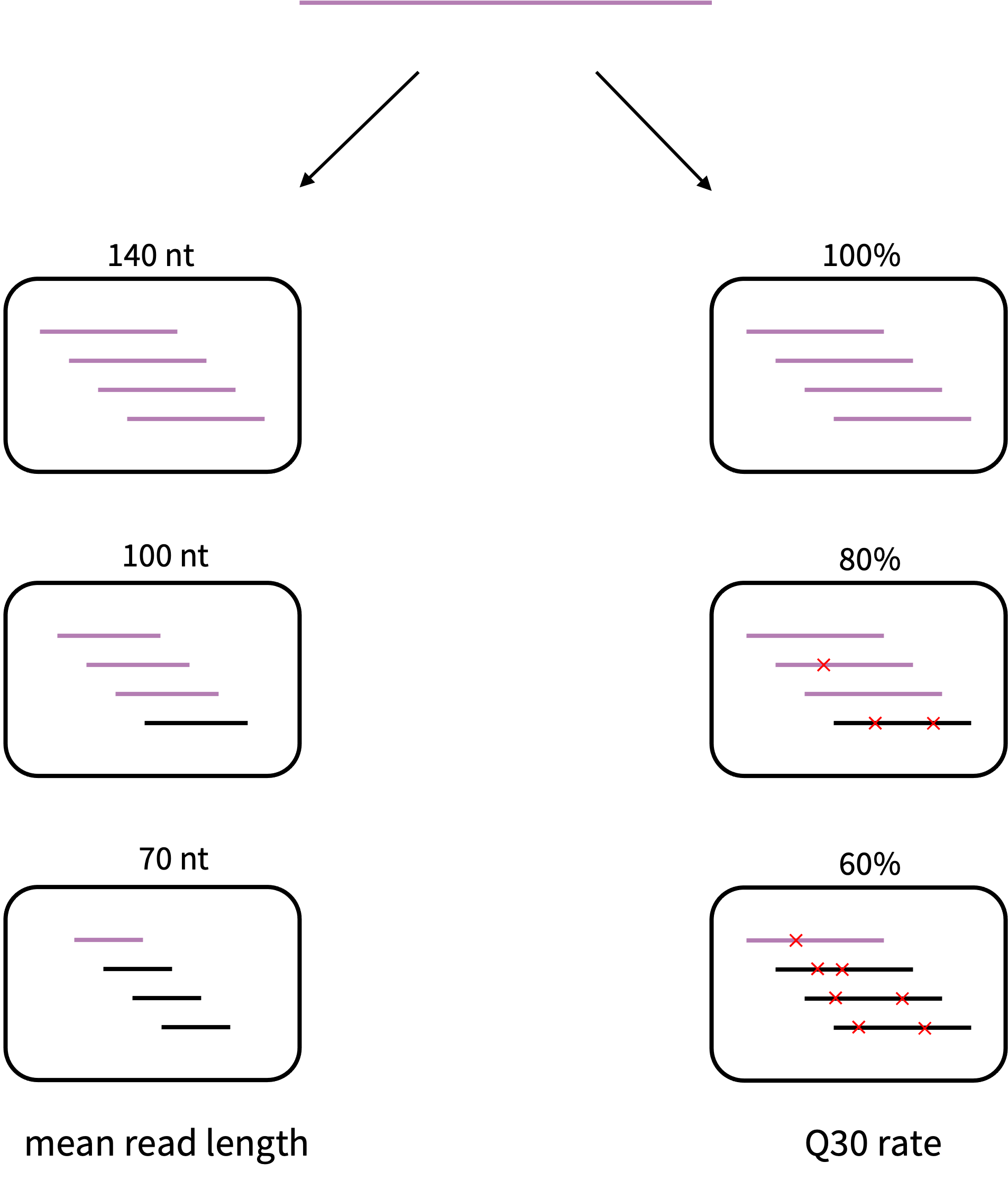 Proposed simulation experiment to investigate the influence of sequence read quality on classifiability. Starting from a known genome from the reference databases, one could simulate datasets (black boxes) with different quality properties. Black colored reads represent the ones which could not be classified. Red crosses represent sequencing errors.